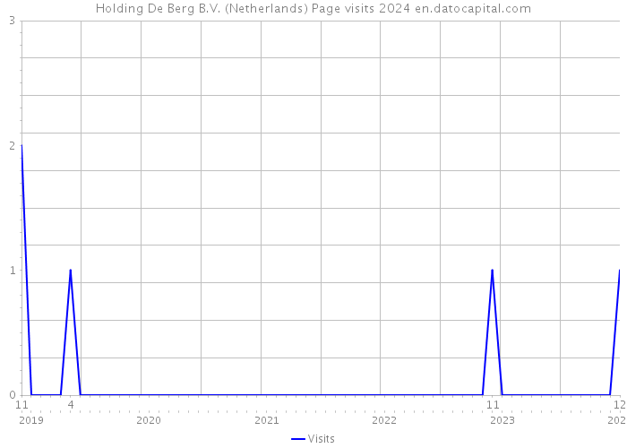 Holding De Berg B.V. (Netherlands) Page visits 2024 