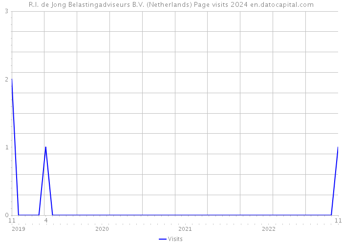 R.I. de Jong Belastingadviseurs B.V. (Netherlands) Page visits 2024 