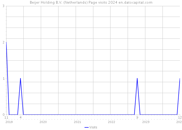Beijer Holding B.V. (Netherlands) Page visits 2024 