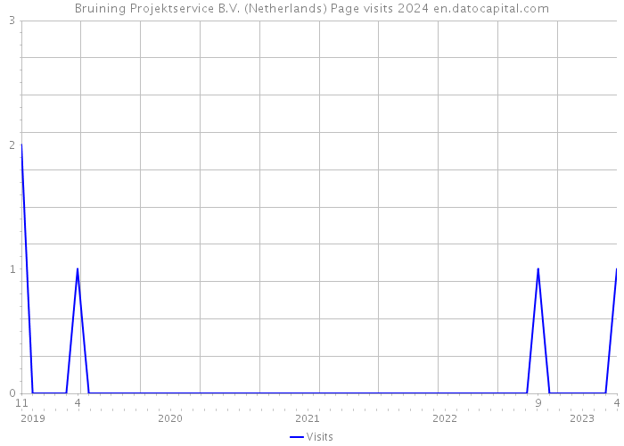 Bruining Projektservice B.V. (Netherlands) Page visits 2024 
