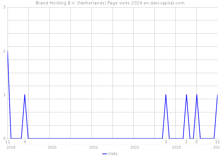 Brand Holding B.V. (Netherlands) Page visits 2024 