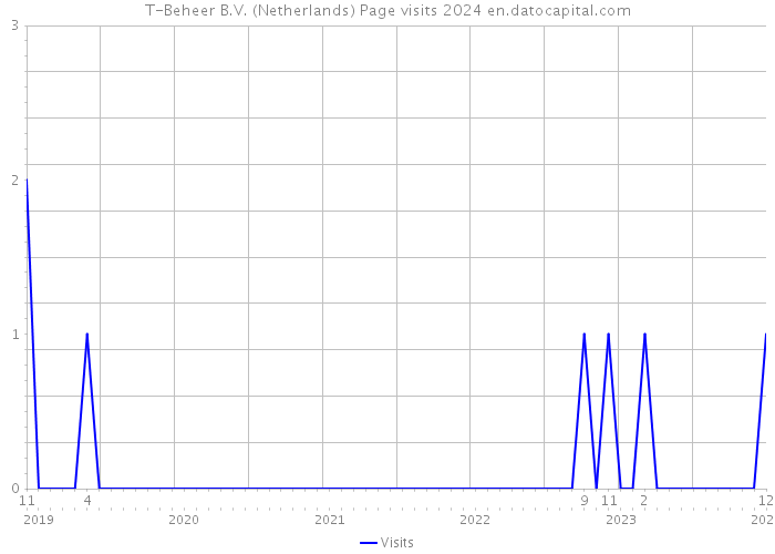 T-Beheer B.V. (Netherlands) Page visits 2024 