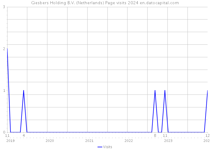 Giesbers Holding B.V. (Netherlands) Page visits 2024 