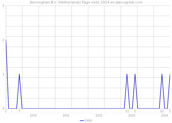 Sterringhart B.V. (Netherlands) Page visits 2024 