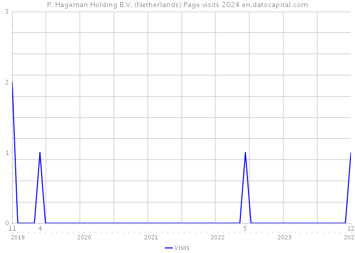 P. Hageman Holding B.V. (Netherlands) Page visits 2024 