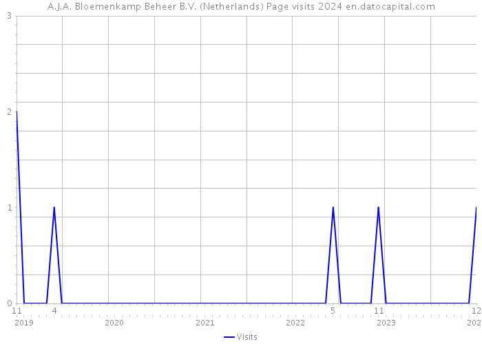 A.J.A. Bloemenkamp Beheer B.V. (Netherlands) Page visits 2024 