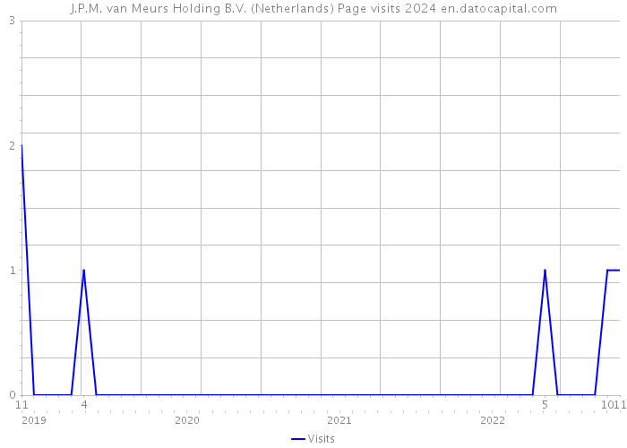 J.P.M. van Meurs Holding B.V. (Netherlands) Page visits 2024 