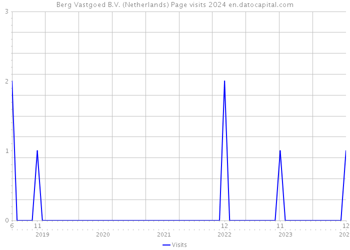 Berg Vastgoed B.V. (Netherlands) Page visits 2024 