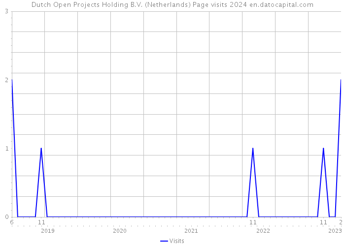 Dutch Open Projects Holding B.V. (Netherlands) Page visits 2024 