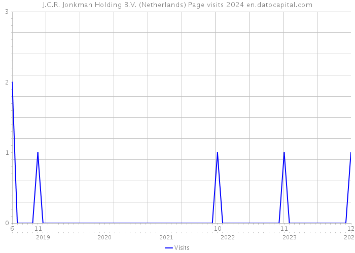 J.C.R. Jonkman Holding B.V. (Netherlands) Page visits 2024 