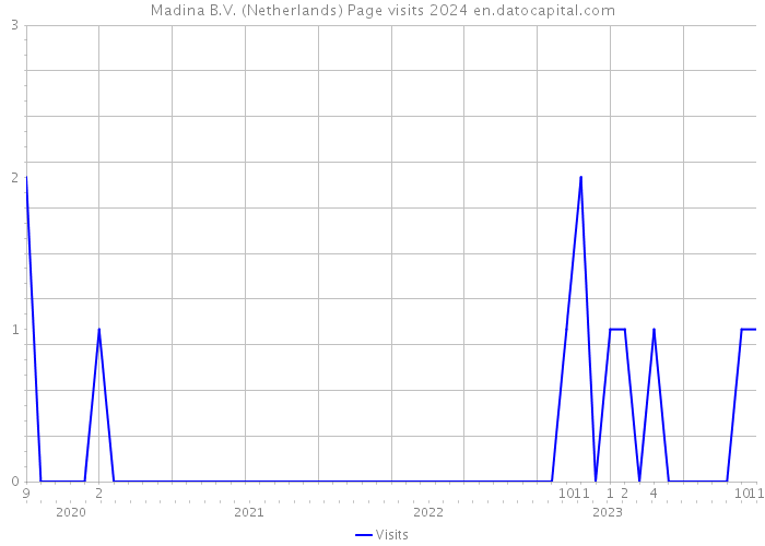 Madina B.V. (Netherlands) Page visits 2024 
