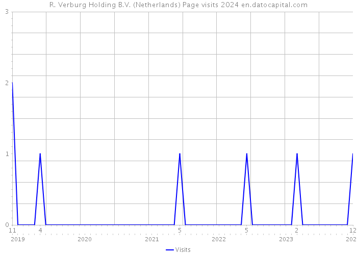 R. Verburg Holding B.V. (Netherlands) Page visits 2024 