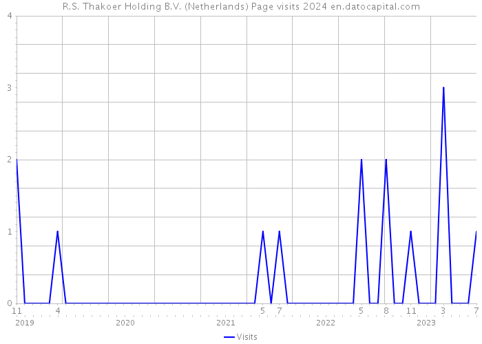 R.S. Thakoer Holding B.V. (Netherlands) Page visits 2024 