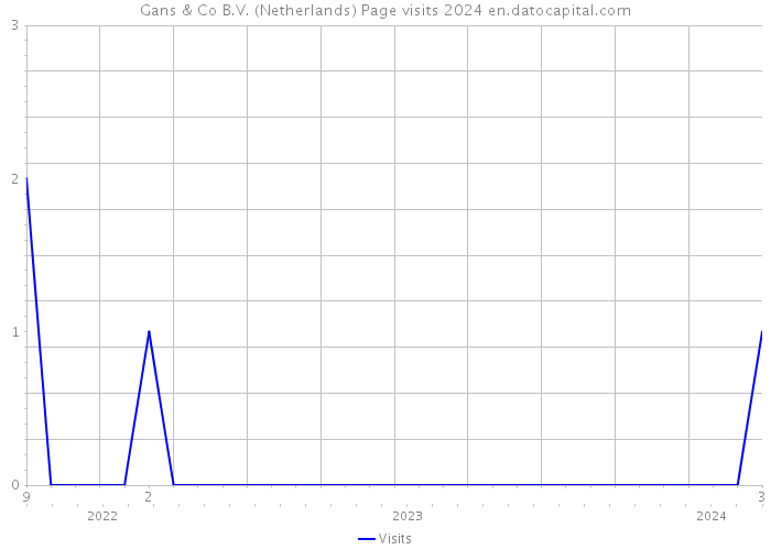 Gans & Co B.V. (Netherlands) Page visits 2024 