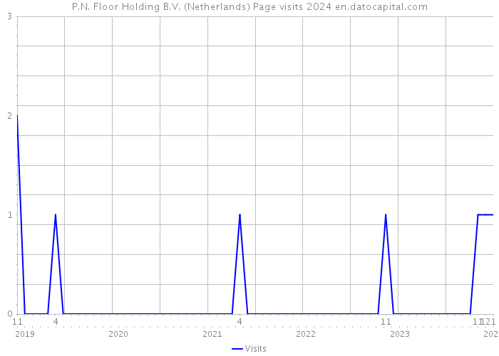P.N. Floor Holding B.V. (Netherlands) Page visits 2024 