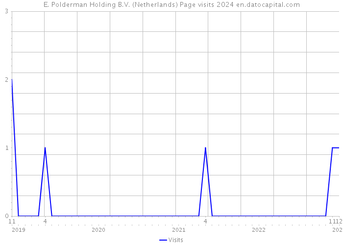 E. Polderman Holding B.V. (Netherlands) Page visits 2024 