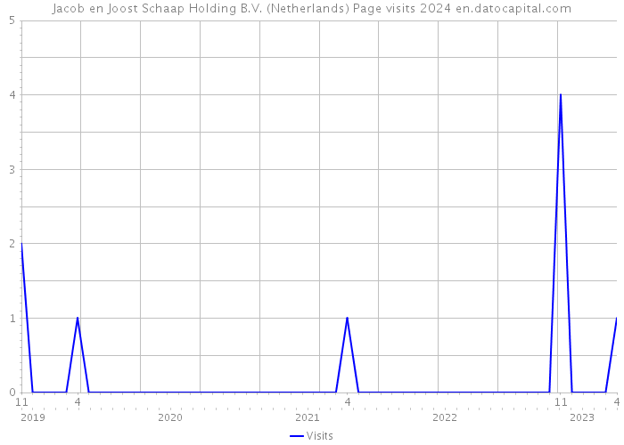 Jacob en Joost Schaap Holding B.V. (Netherlands) Page visits 2024 