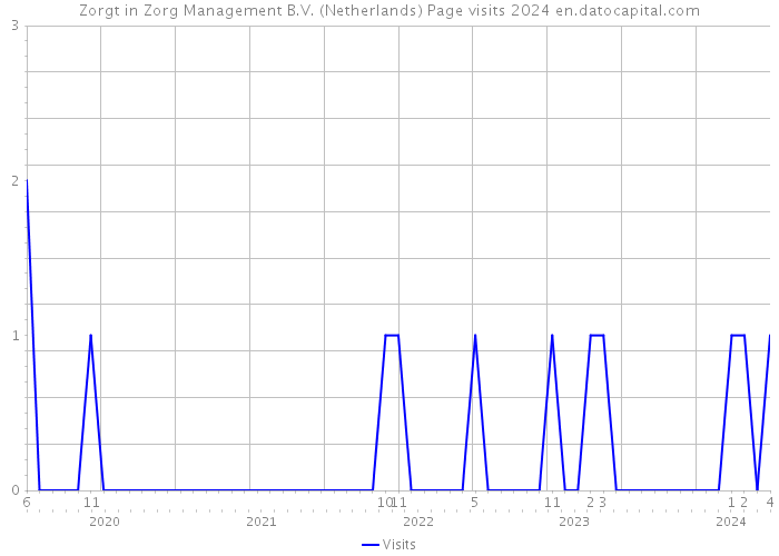 Zorgt in Zorg Management B.V. (Netherlands) Page visits 2024 