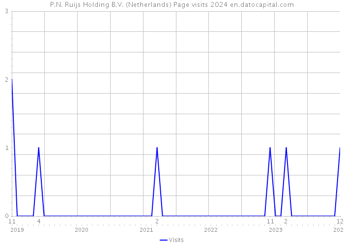 P.N. Ruijs Holding B.V. (Netherlands) Page visits 2024 