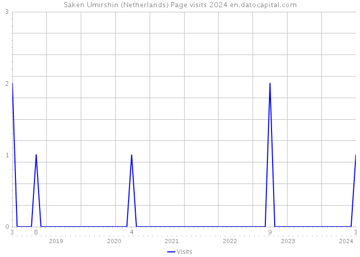 Saken Umirshin (Netherlands) Page visits 2024 