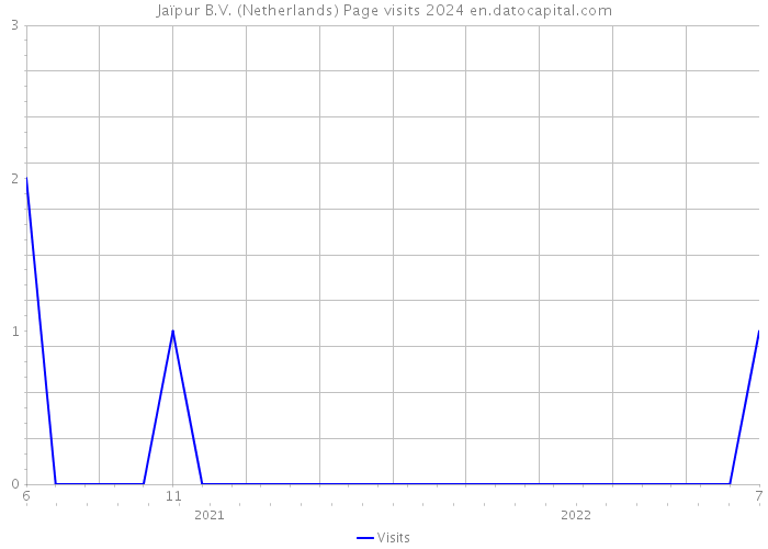 Jaïpur B.V. (Netherlands) Page visits 2024 