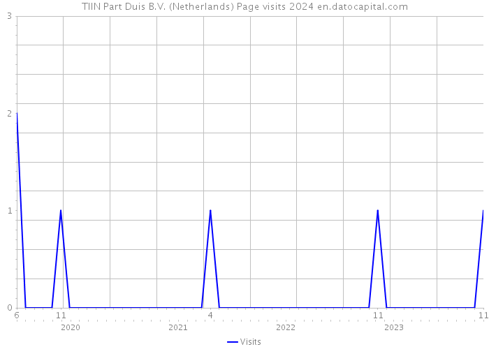 TIIN Part Duis B.V. (Netherlands) Page visits 2024 