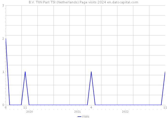 B.V. TIIN Part TSI (Netherlands) Page visits 2024 