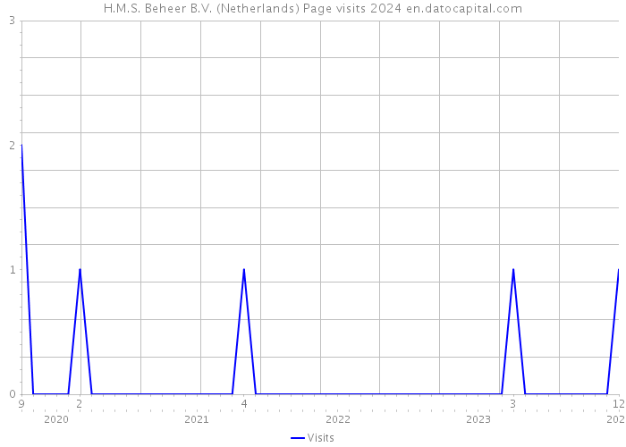 H.M.S. Beheer B.V. (Netherlands) Page visits 2024 