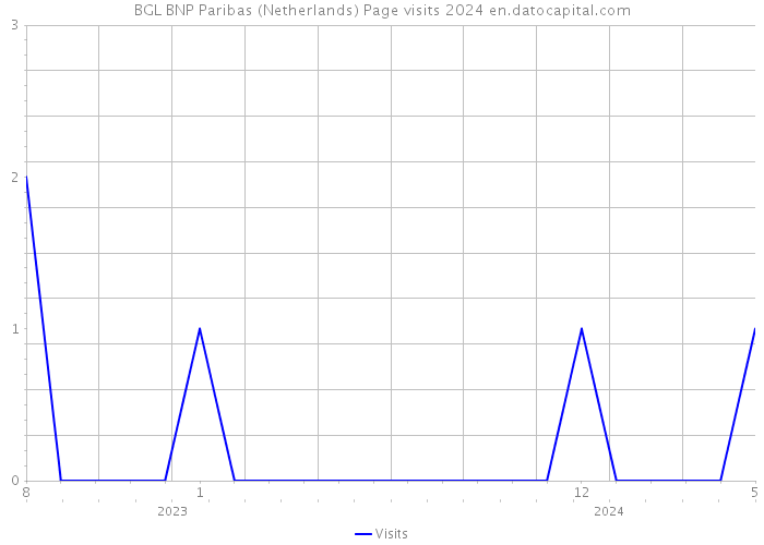 BGL BNP Paribas (Netherlands) Page visits 2024 