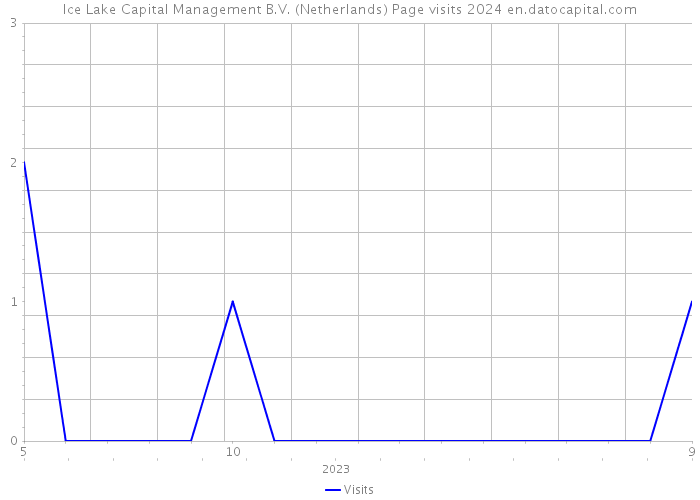 Ice Lake Capital Management B.V. (Netherlands) Page visits 2024 