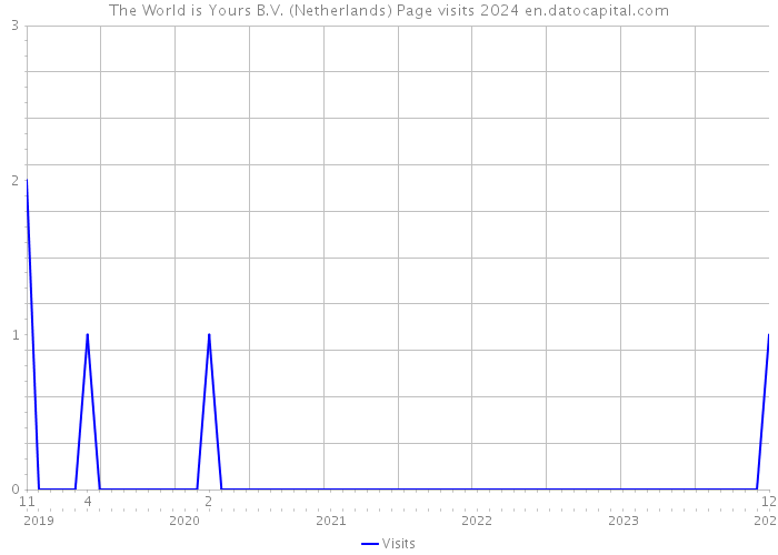 The World is Yours B.V. (Netherlands) Page visits 2024 