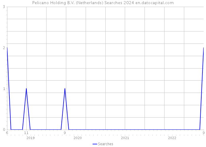 Pelicano Holding B.V. (Netherlands) Searches 2024 