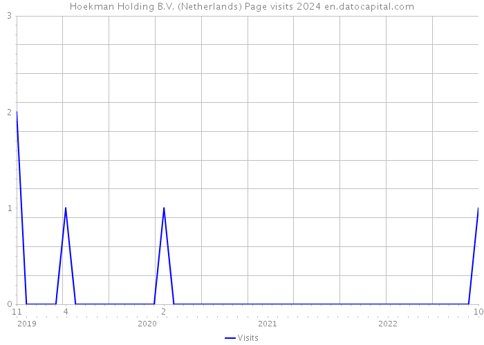 Hoekman Holding B.V. (Netherlands) Page visits 2024 
