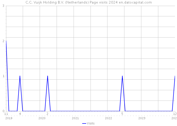 C.C. Vuijk Holding B.V. (Netherlands) Page visits 2024 