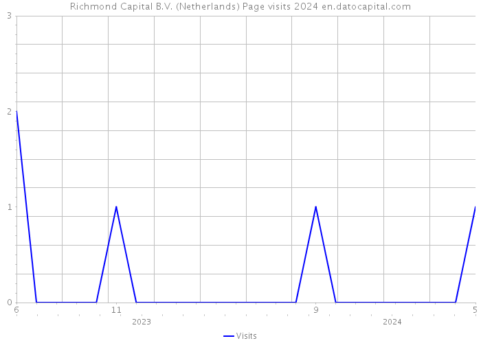 Richmond Capital B.V. (Netherlands) Page visits 2024 