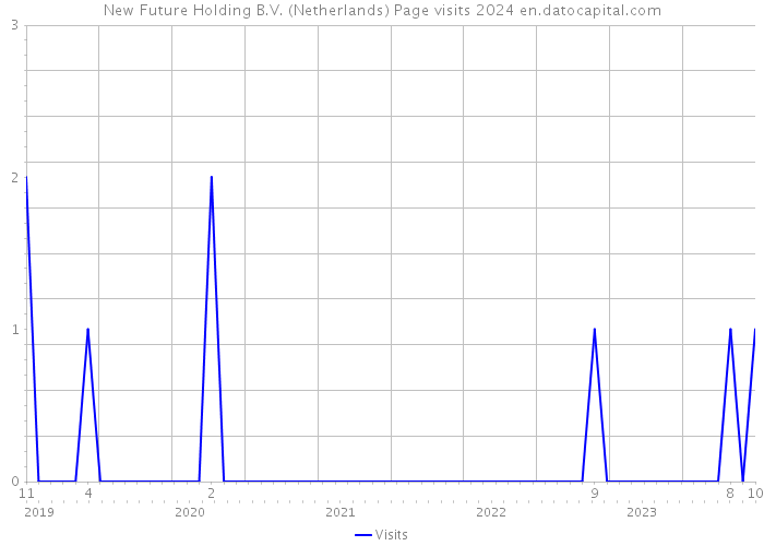 New Future Holding B.V. (Netherlands) Page visits 2024 