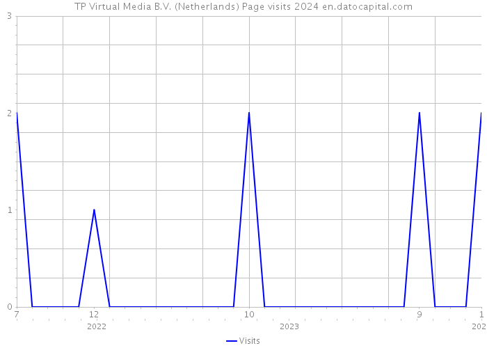 TP Virtual Media B.V. (Netherlands) Page visits 2024 