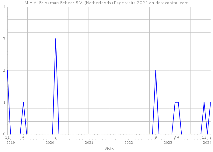 M.H.A. Brinkman Beheer B.V. (Netherlands) Page visits 2024 