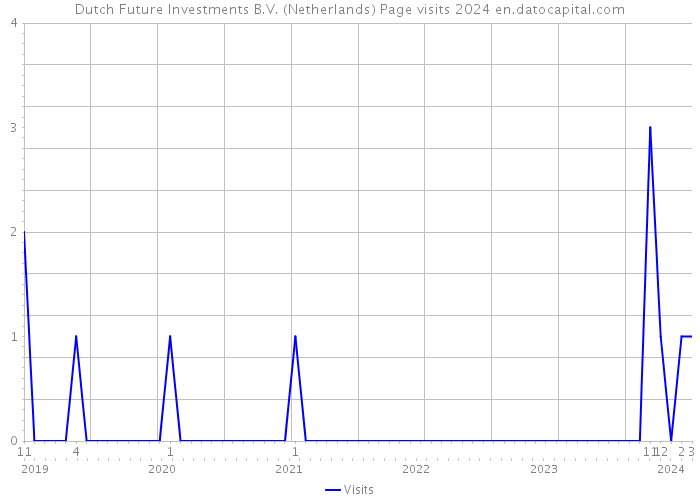 Dutch Future Investments B.V. (Netherlands) Page visits 2024 