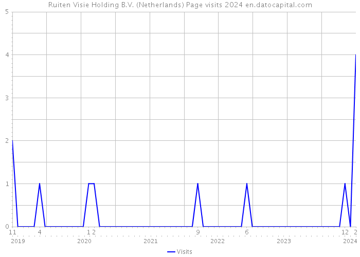 Ruiten Visie Holding B.V. (Netherlands) Page visits 2024 