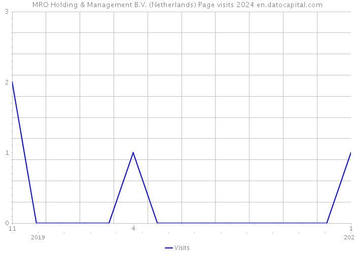 MRO Holding & Management B.V. (Netherlands) Page visits 2024 