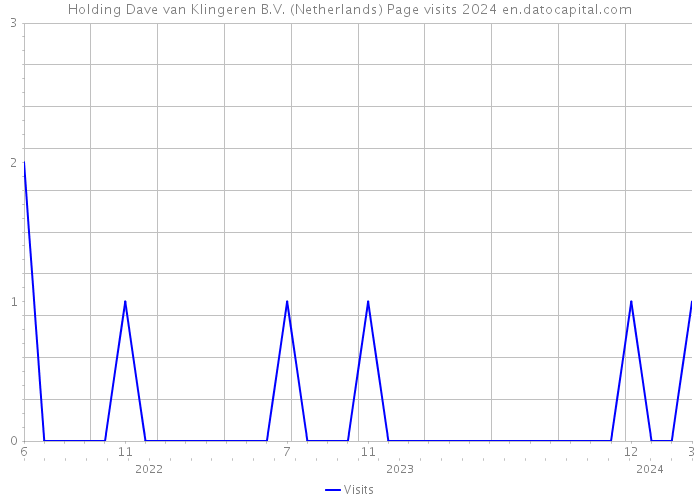 Holding Dave van Klingeren B.V. (Netherlands) Page visits 2024 