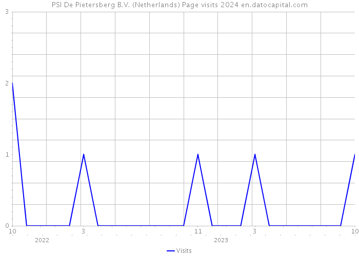 PSI De Pietersberg B.V. (Netherlands) Page visits 2024 