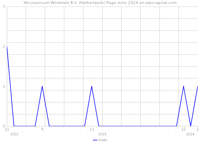 Woonunicum Wommels B.V. (Netherlands) Page visits 2024 