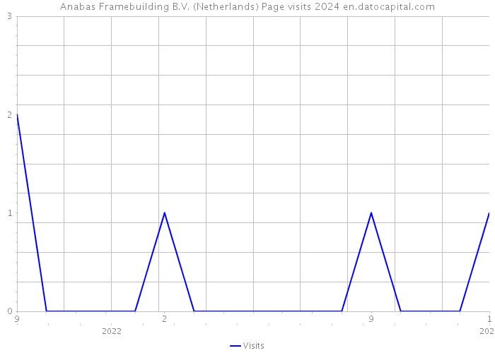 Anabas Framebuilding B.V. (Netherlands) Page visits 2024 