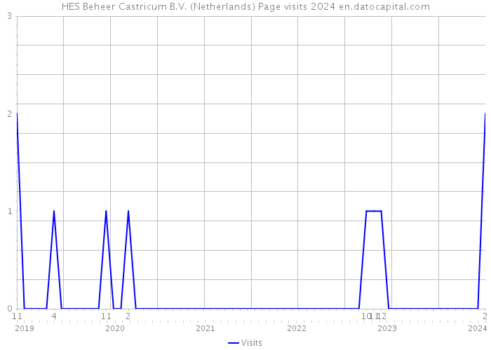 HES Beheer Castricum B.V. (Netherlands) Page visits 2024 