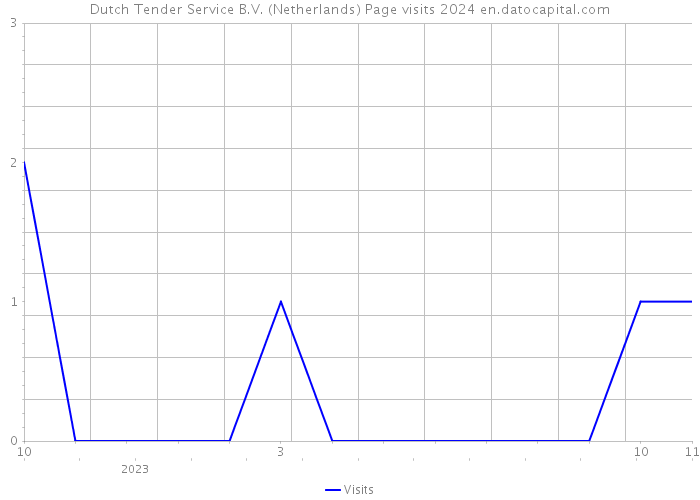 Dutch Tender Service B.V. (Netherlands) Page visits 2024 
