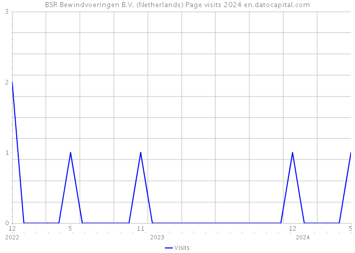 BSR Bewindvoeringen B.V. (Netherlands) Page visits 2024 