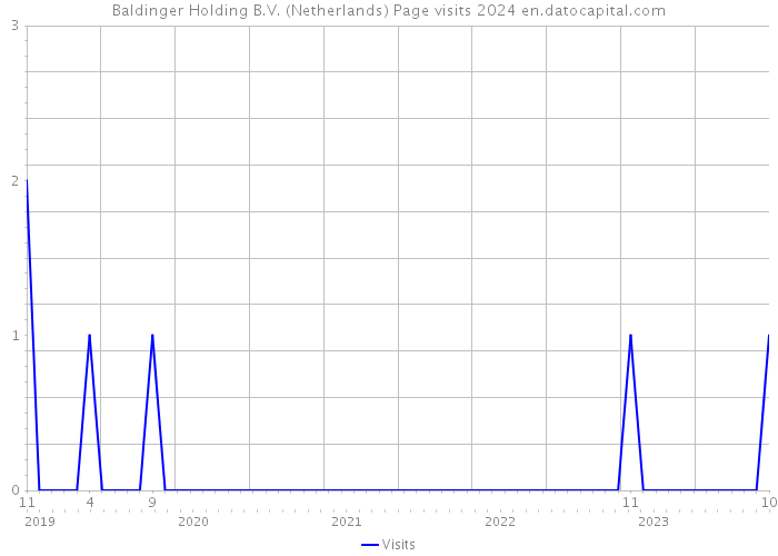 Baldinger Holding B.V. (Netherlands) Page visits 2024 