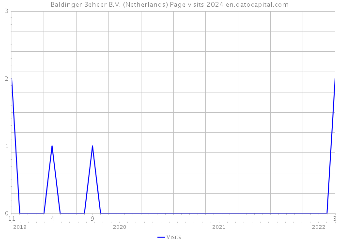 Baldinger Beheer B.V. (Netherlands) Page visits 2024 
